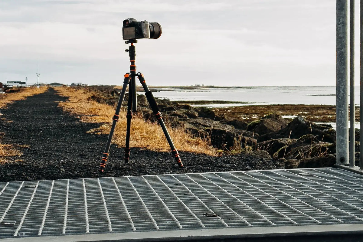 Ball Head vs Fluid Head vs Gimbal Head: Which Tripod Head Should You Buy?
